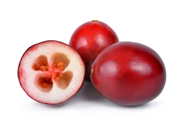 Os cranberries americanos saborosos — Fotografia de Stock