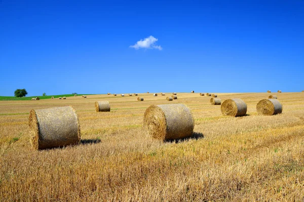 Halm balar på åkermark med blå himmel — Stockfoto