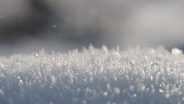 飘落的雪花，具有选择性焦点. — 图库视频影像