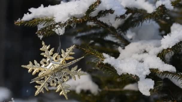 가문비나무 나뭇가지에 크리스마스 장식. — 비디오