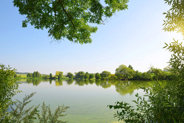 Summer landscape with a lake 