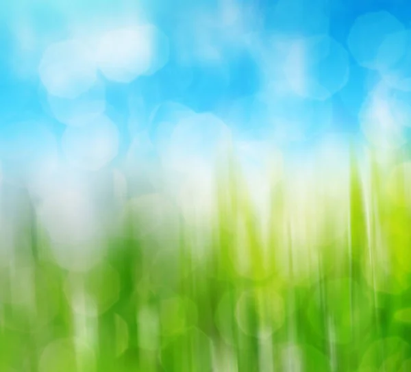 Suddiga grönt gräs och sky. — Stockfoto