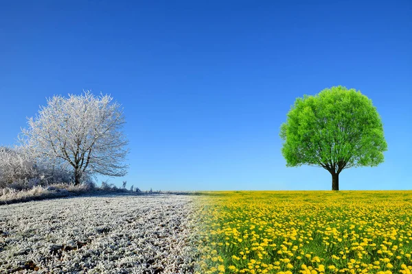 Jarní a zimní krajina s modrou oblohou. — Stock fotografie