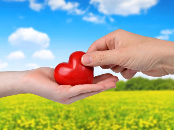 Red heart in woman and man hands — Stock Photo, Image