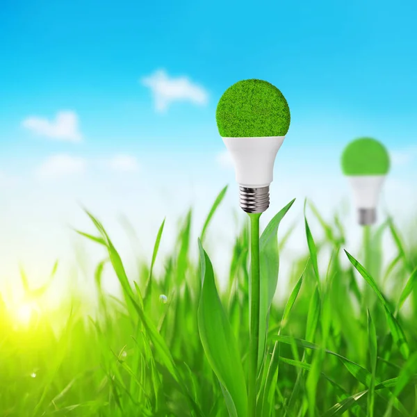 Lampadina Eco LED su stelo della pianta . — Foto Stock