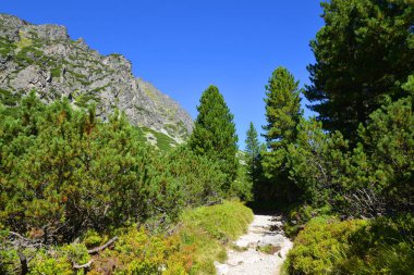 Dağ manzarası Batı Karpatlar, Slovakya. 