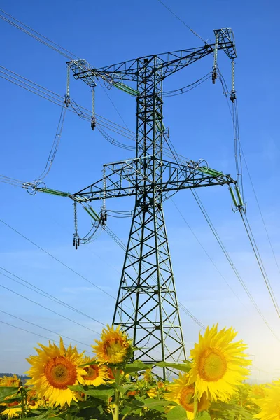 High voltage electricity pylons. — Stock Photo, Image