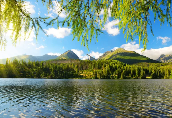 Mountain lake Štrbské pleso i nationalparken Höga Tatrabergen — Stockfoto