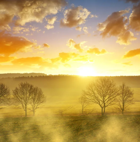 Misty Mart sabah Çek Cumhuriyeti'nde. — Stok fotoğraf