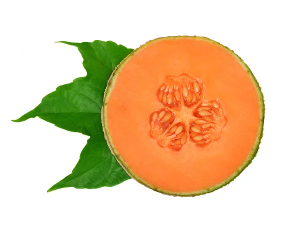 Cantaloupe melon with green leaf — Stock Photo, Image