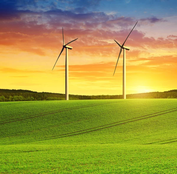 Rollendes Feld mit Windrädern — Stockfoto