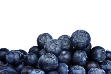 yığın yaban mersini