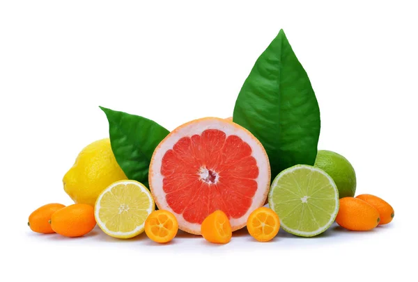 Citrusvruchten (Grapefruit, citroen, limoen, Kumquat) geïsoleerd — Stockfoto