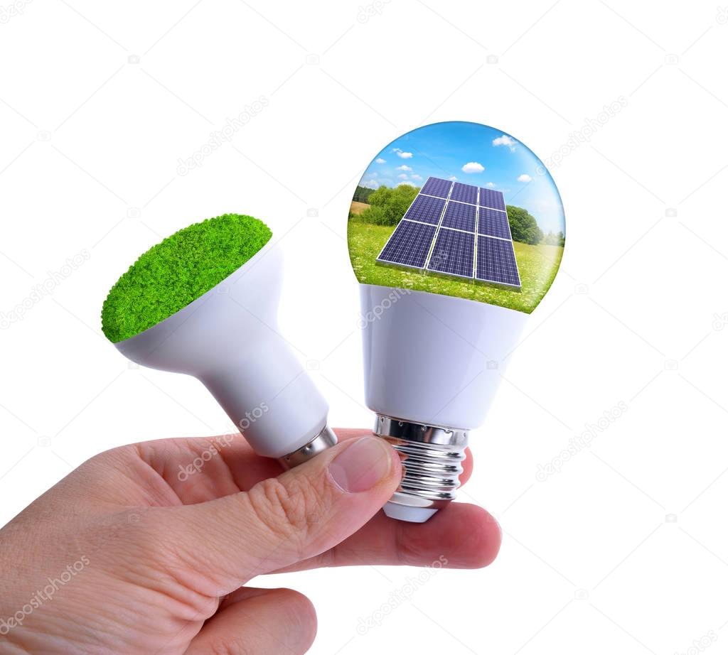 Hand holding eco LED bulbs isolated on a white background.