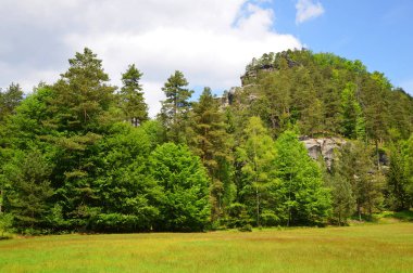 Çek-Saxony İsviçre.