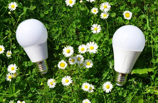 LED-Lampen mit Gänseblümchen im Gras. — Stockfoto