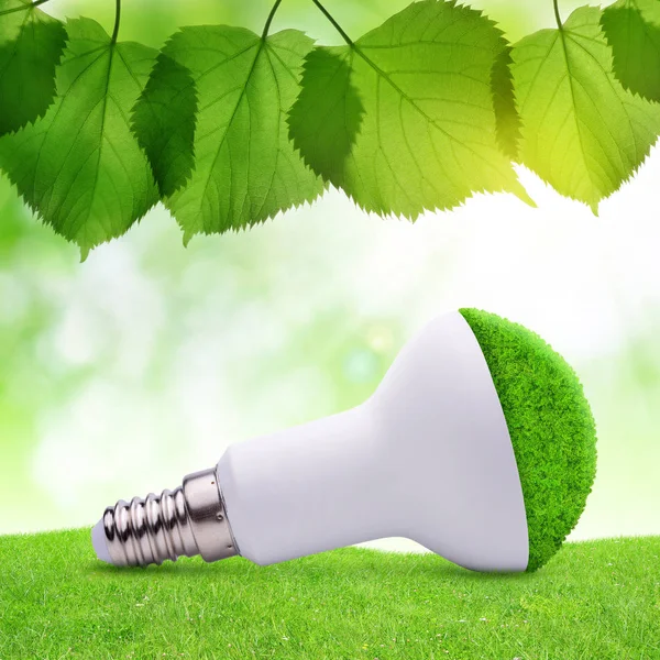 Eco Led lampa i gräs. — Stockfoto