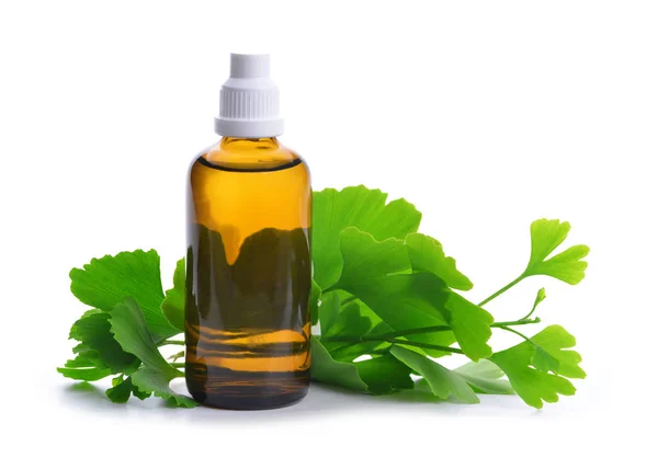 Extract from the ginkgo in bottle with green leaves. — Stock Photo, Image