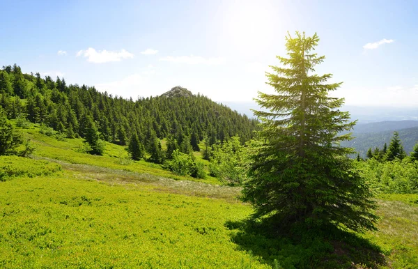 Summit of mountain Grosser Arber, Germany. — Stock Photo, Image