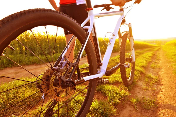 Cycliste avec VTT sur route de terre au coucher du soleil . — Photo