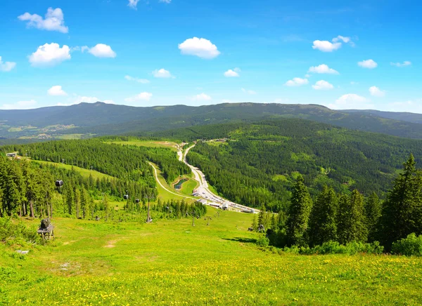 Sommarlandskap i nationalparken Bayerische Wald, Tyskland. — Stockfoto