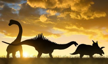 Dinozorlar silüeti.