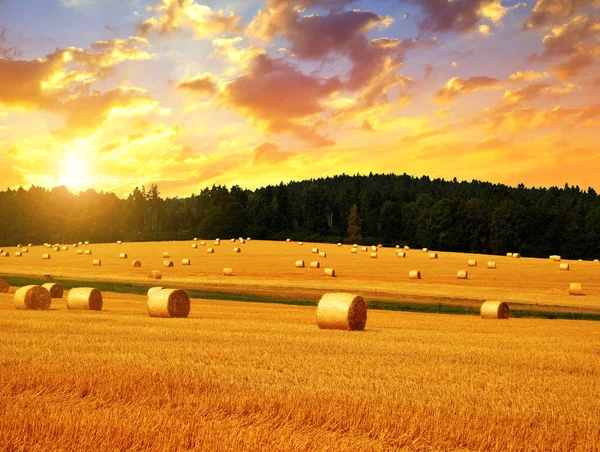 Fardos de palha ao pôr do sol . — Fotografia de Stock