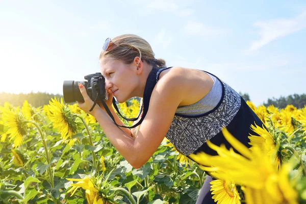Mulher tirando fotos do campo de girassol . — Fotografia de Stock