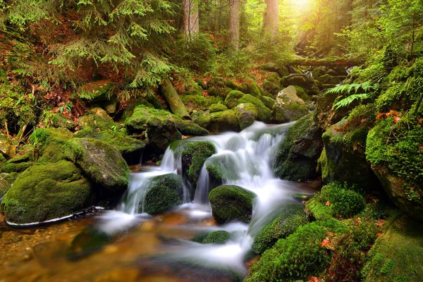 Waterfall on mountain stream in the Czech Republic. — Stock Photo, Image