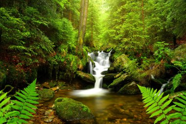 Şelale üzerinde dağ dere Çek Cumhuriyeti.