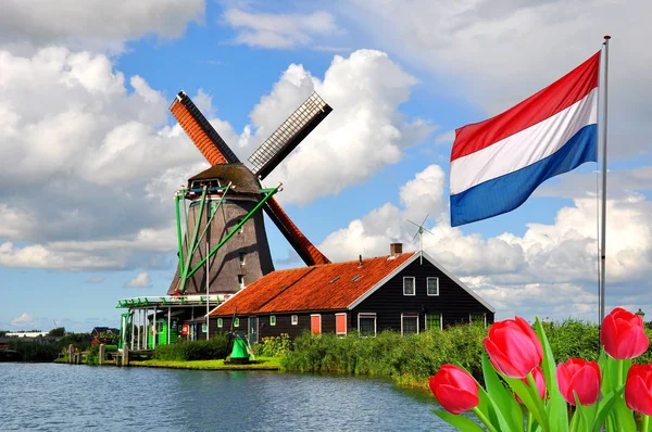 Windmolens en huisjes in de Zaanse Schans, Nederland. — Stockfoto
