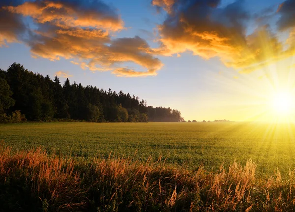 Sommaren landsbygdens landskap vid solnedgången. — Stockfoto