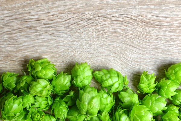 Hopbellen (Humulus Lupulus) — Stockfoto