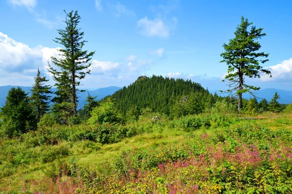 Montaña Klein Osser en el parque nacional Bosque bávaro, Alemania . —  Fotos de Stock