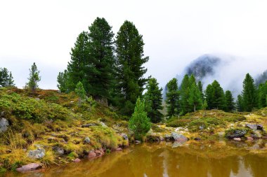 Küçük bir göl Lagorai dağ, İtalya