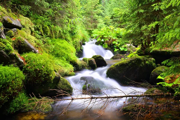 Cascata sul torrente di montagna — Foto Stock