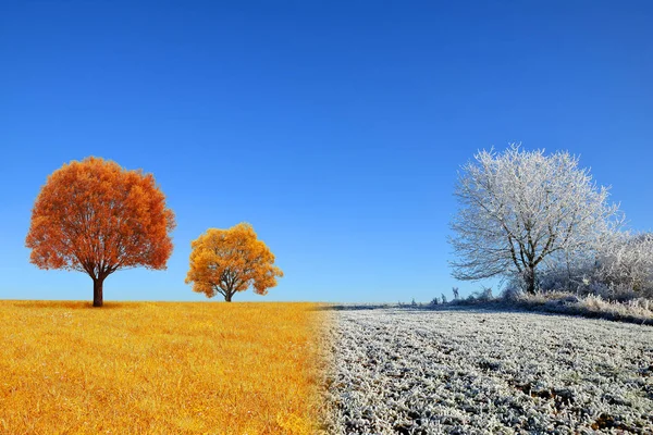 Podzimní a zimní krajina s modrou oblohou. — Stock fotografie