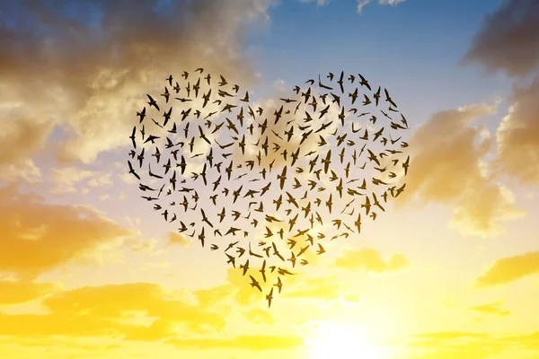 Silhouette of birds flying in heart formation. — Stock Photo, Image