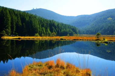 Buzultaş Gölü Kleiner Arbersee Dağı Milli Parkı Bavyera ormanı içinde brüt Arber ile. 