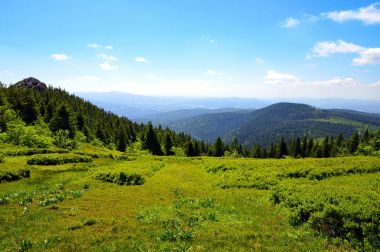 Zirve dağ Grosser Arber, Almanya.