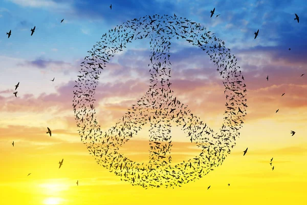 Birds flying in peace symbol formation at sunset sky. — Stock Photo, Image