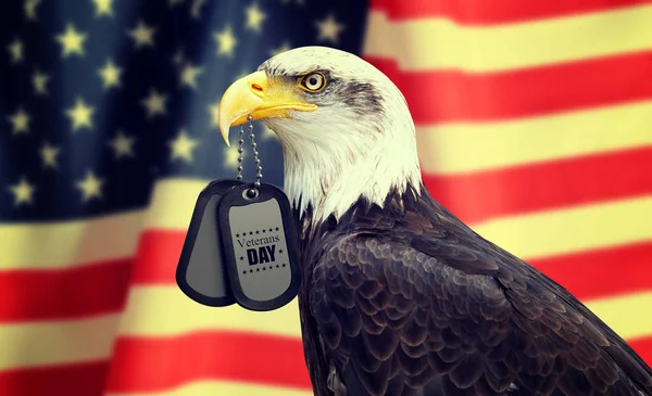 Bald Eagle tart egy kutya címkék, az ő csőrét ellen egy amerikai zászló. — Stock Fotó