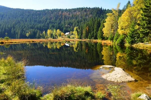 Moraine lake Kleiner Arbersee in National park Bavarian forest,Germany. — Stock Photo, Image