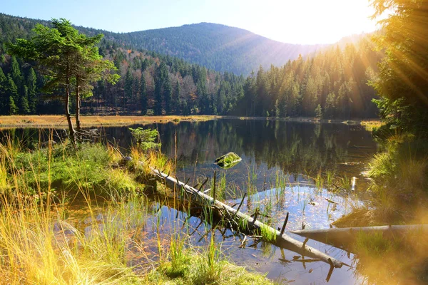 Moraine lake Kleiner Arbersee in het nationale park Beierse bos, Duitsland. — Stockfoto