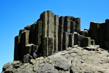 Kaya oluşumu bazalt sütunlar. Ulusal doğal anıt olan Panska Skala yakınındaki Kamenicky Senov Çek Cumhuriyeti.