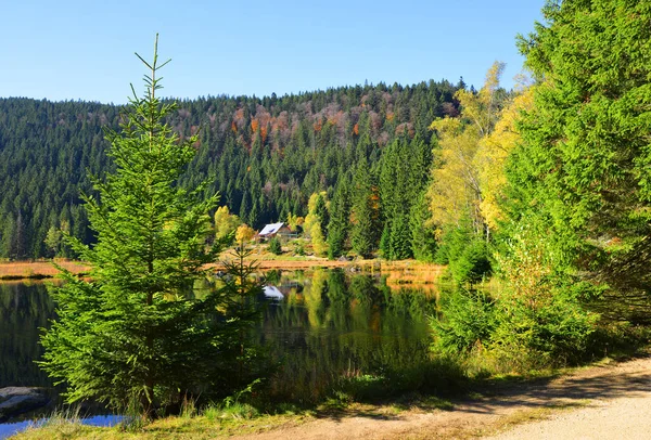 冰碛湖 Kleiner Arbersee 国家公园巴伐利亚森林中 在德国的秋景 — 图库照片