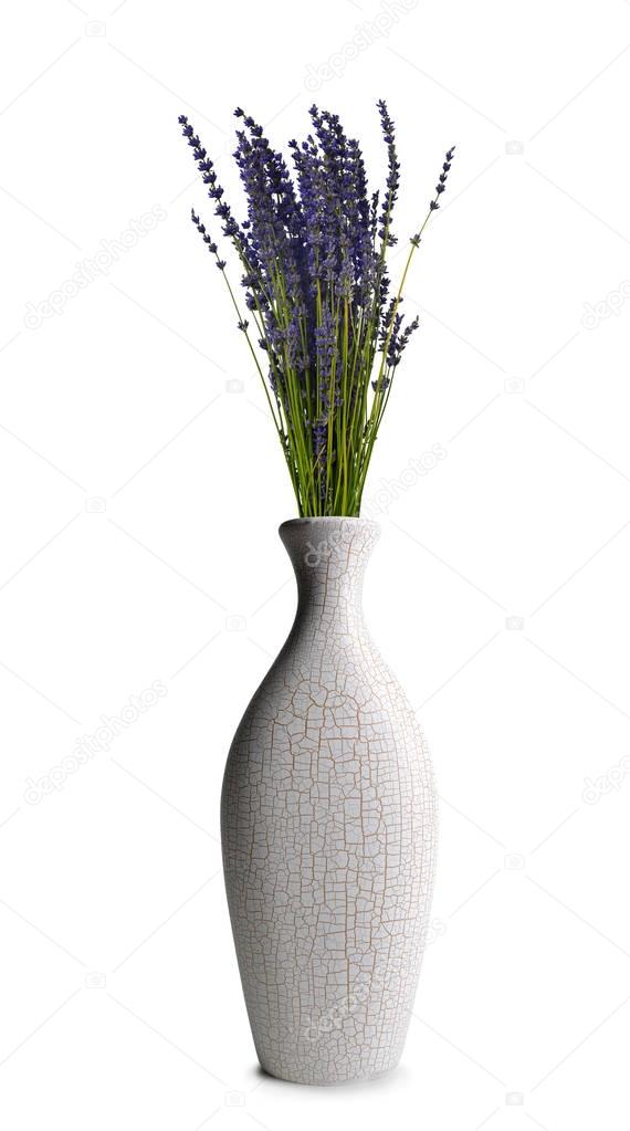 Bunch of lavender in a vase isolated  on a white background.