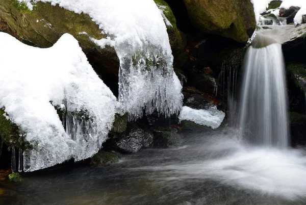 Icicles Winter Creek National Park Sumava Czech Republic — Stock Photo, Image