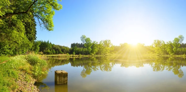 Dammen Skogen Vårlandskap Tjeckien — Stockfoto