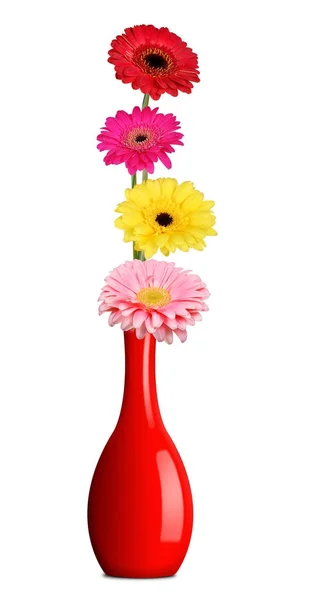 Bouquet Colorful Gerberas Red Vase Isolated White Background — Stock Photo, Image